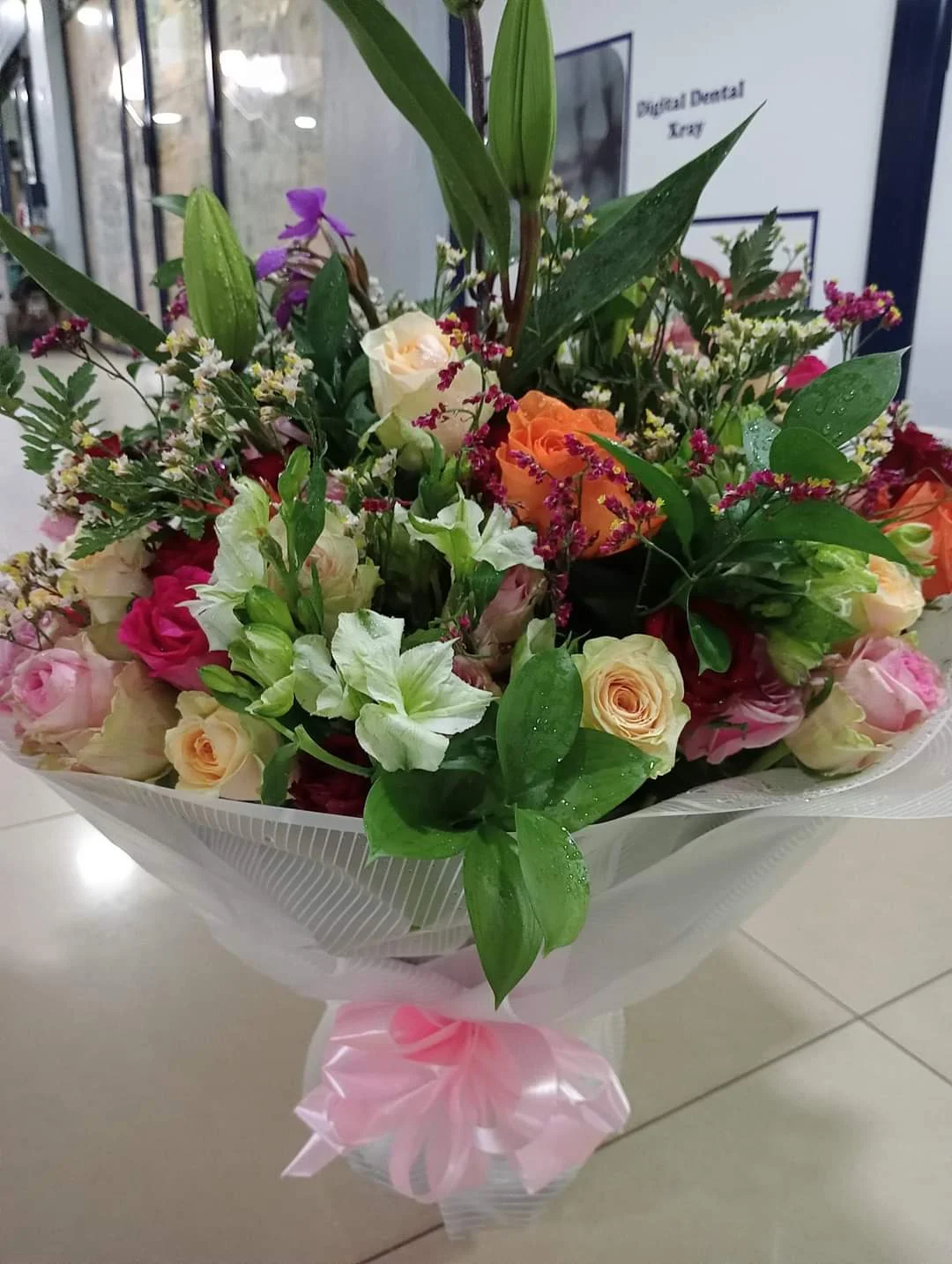 Gifts & more
